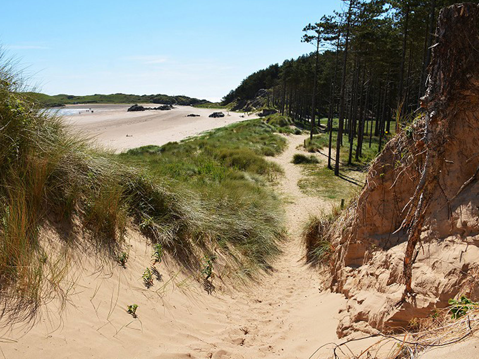 Newborough Forest / Llanddwyn Island